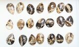 Lot: Polished Madagascar Black Opal Pendants - Pieces #138967-2